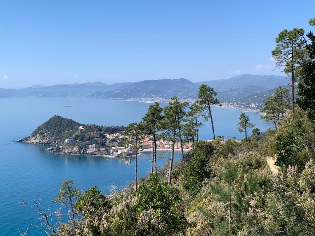 فيلا La Pergola Dei Paggi سيستري ليفانتي المظهر الخارجي الصورة