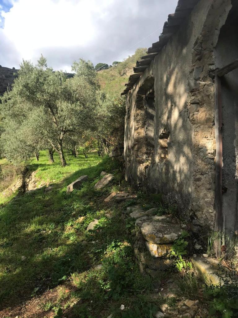 فيلا La Pergola Dei Paggi سيستري ليفانتي المظهر الخارجي الصورة